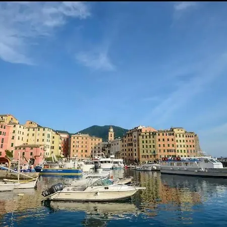 La Bella In